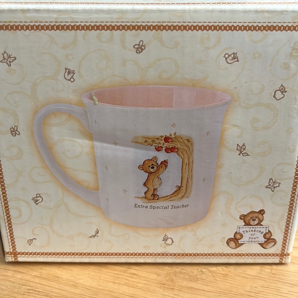 Extra special teacher gift mug